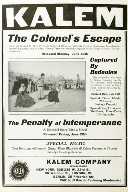 Poster for The Penalty of Intemperance