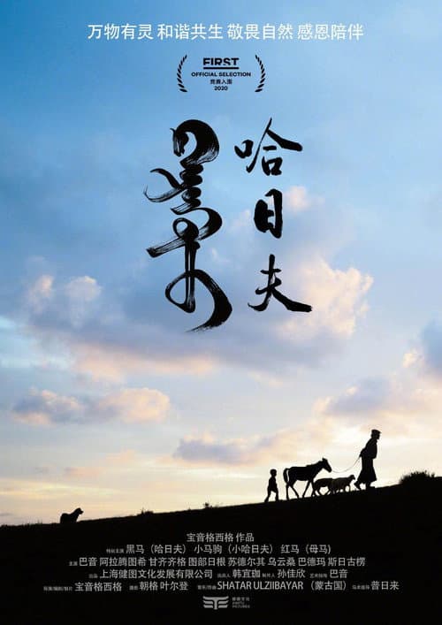 Poster for Harhuu
