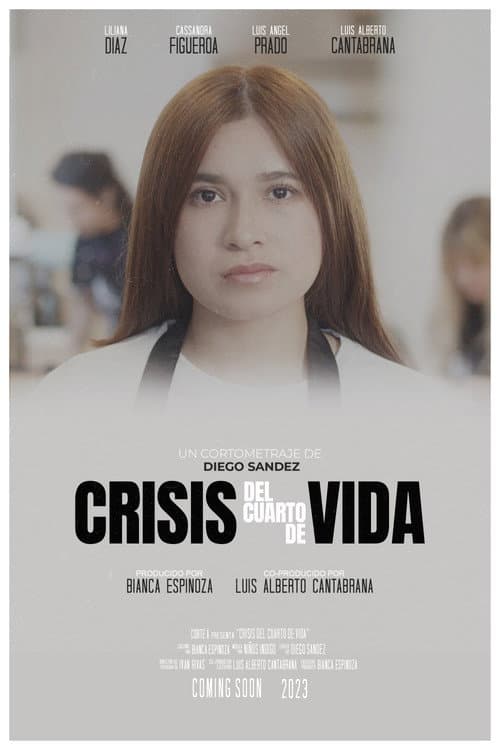 Poster for Quarter Life Crisis