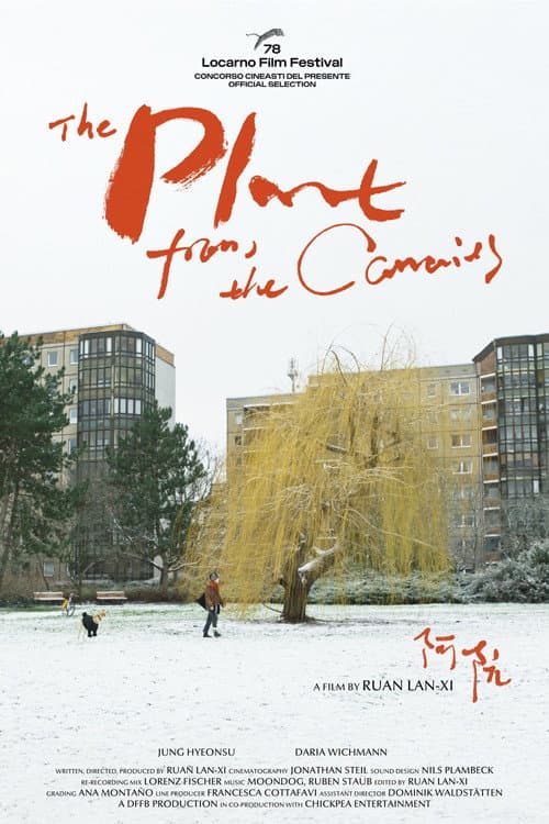 Poster for The Plant from the Canaries