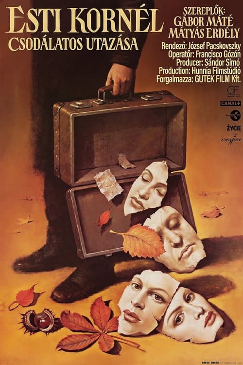 Poster for The Wondrous Voyage of Kornel Esti