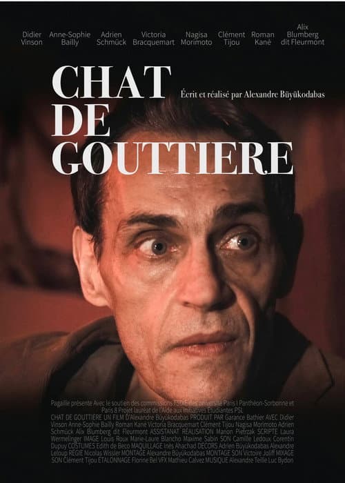 Poster for Chat de gouttière