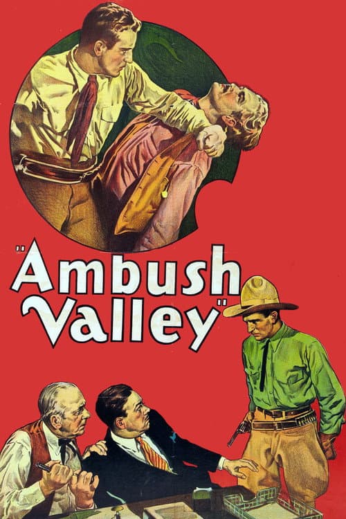 Постер до фільму «Ambush Valley»