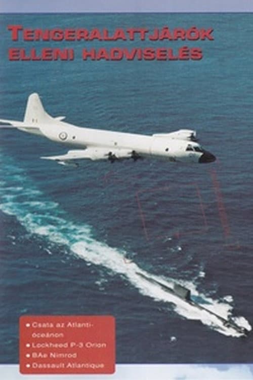 Poster for Combat in the Air - Anti-Submarine Warfare