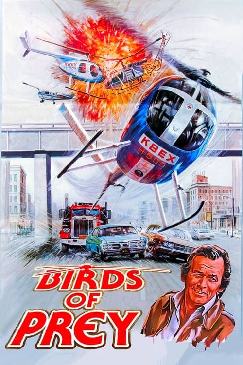 Poster for Birds of Prey