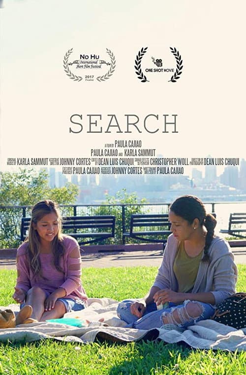 Poster for Search