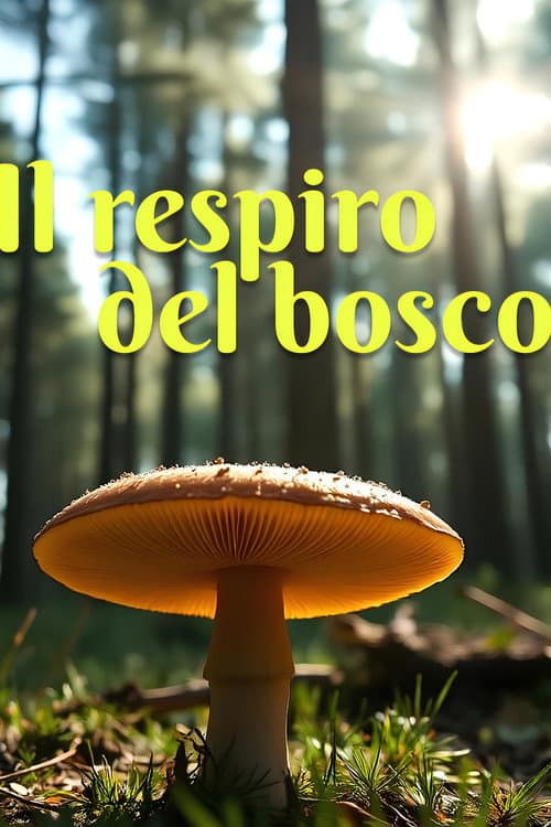 Poster for The breath of the forest