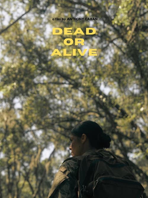 Poster for Dead or Alive