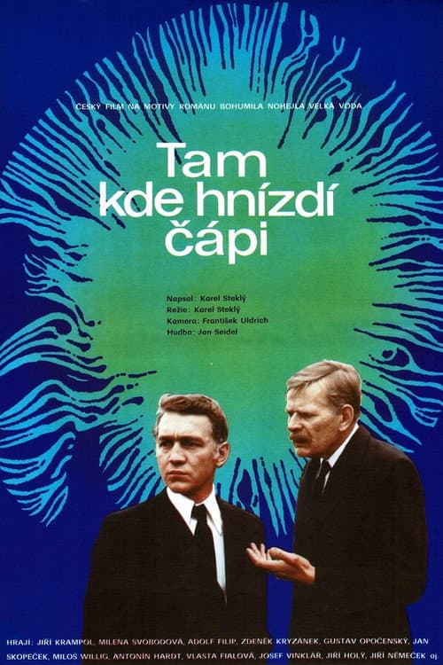 Poster for Tam kde hnízdí čápi