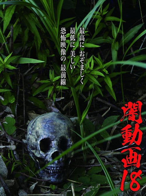 Poster for Tokyo Videos of Horror 18