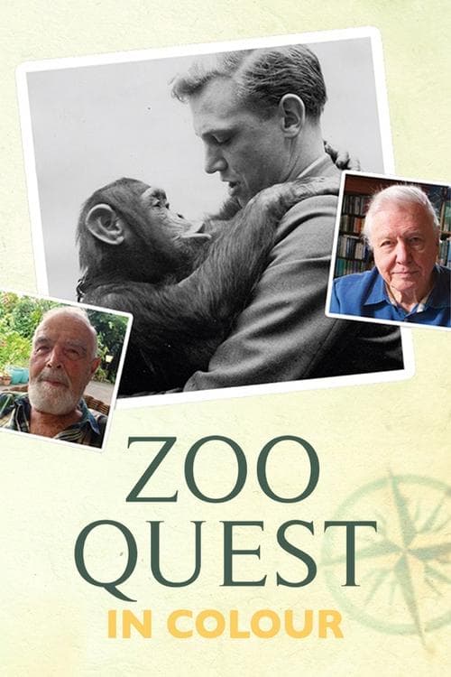 Poster for Zoo Quest in Colour