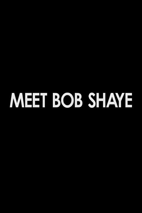 Poster for Meet Bob Shaye