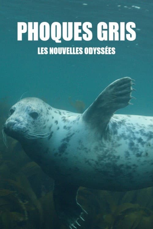 Poster for Grey Seals: A Journey of Survival