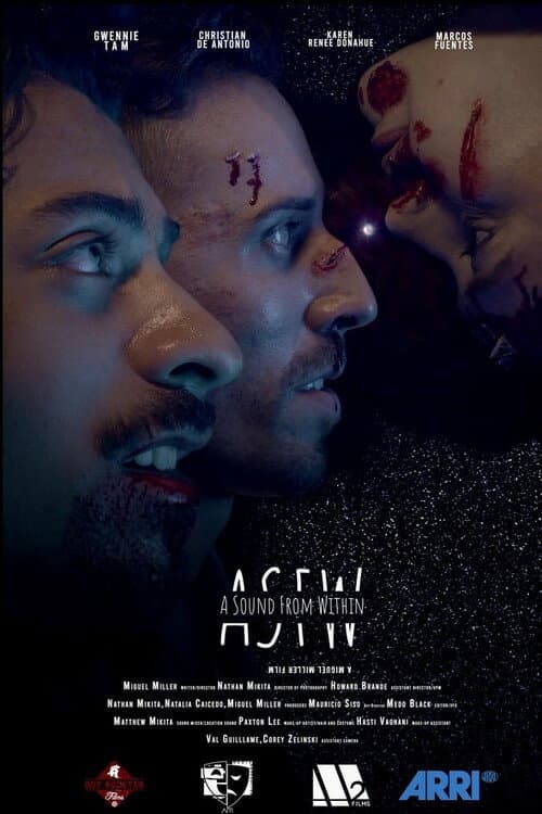 Poster for A Sound from Within