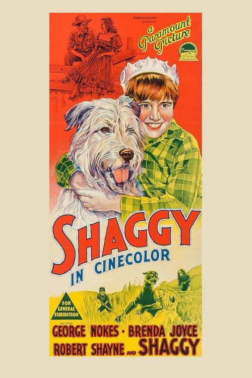 Poster for Shaggy