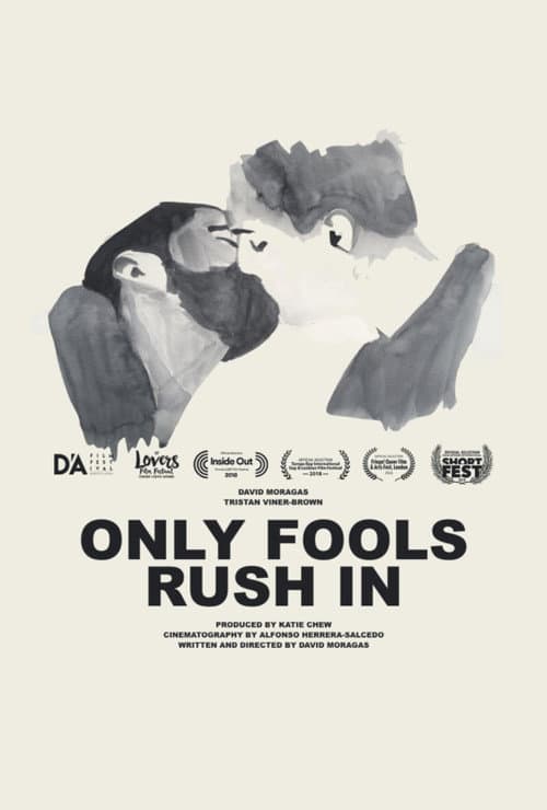 Poster for Only Fools Rush In
