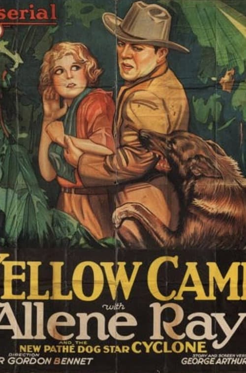 Poster for The Yellow Cameo