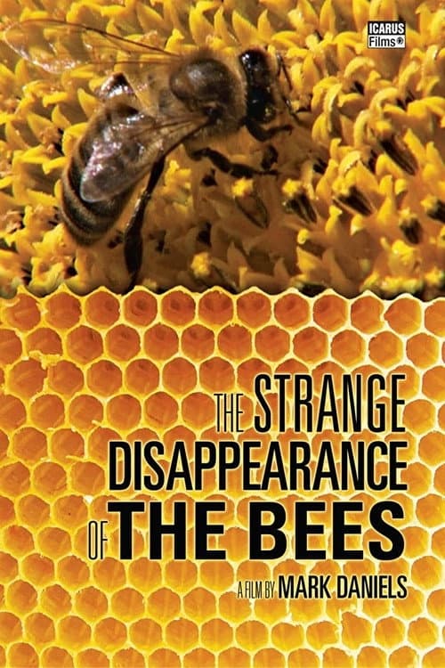 Poster for The Strange Disappearance of the Bees