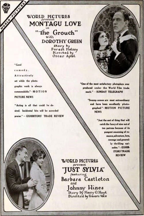 Poster for The Grouch