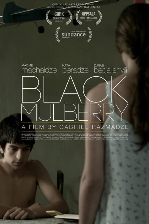 Poster for Black Mulberry