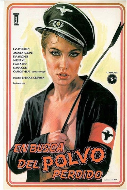 Poster for En busca del polvo perdido