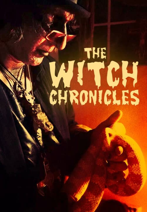 Poster for The Witch Chronicles