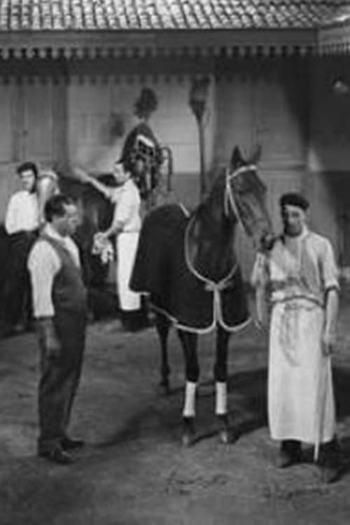 Постер до фільму «La mujer y el jockey (Hipódromo)»