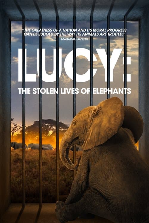 Poster for Lucy: The Stolen Lives of Elephants