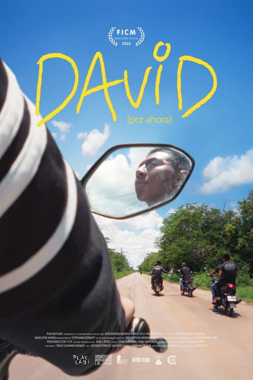 Poster for David (For Now)