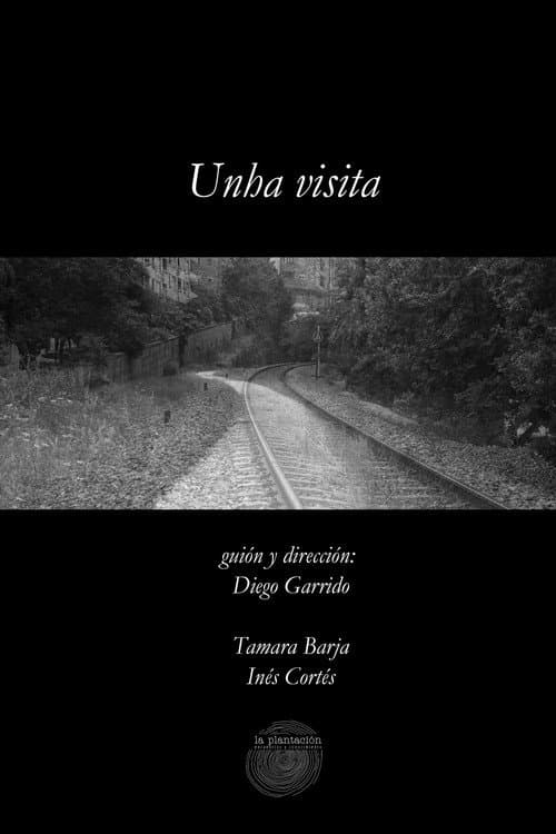 Poster for Unha visita
