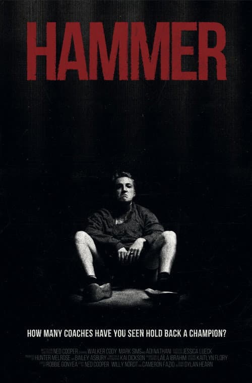 Poster for Hammer