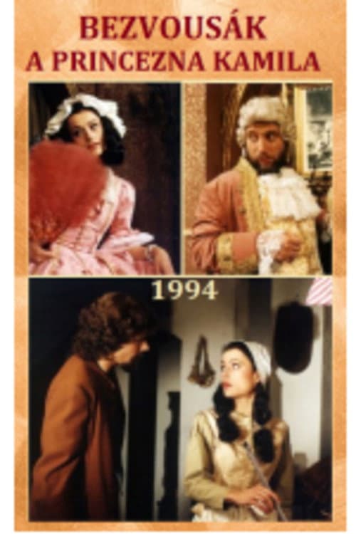 Poster for Bezvousák a princezna Kamila