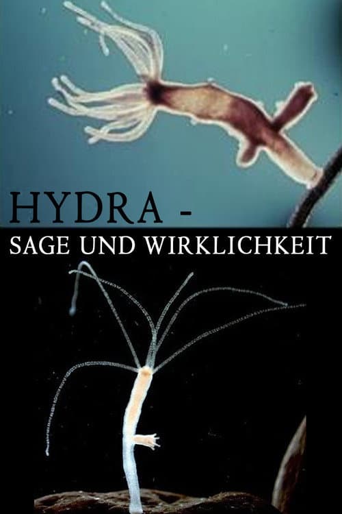 Poster for Hydra - Legend and Reality