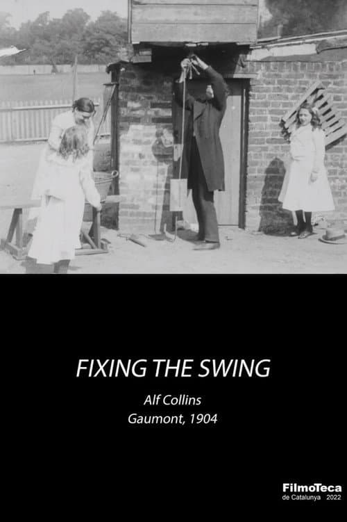 Poster for Fixing the Swing