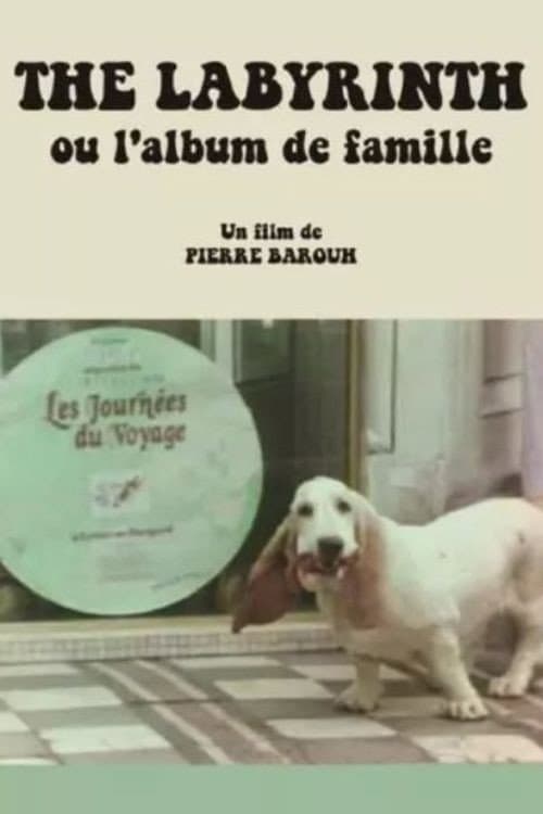Poster for The Labyrinth ou L'album de famille
