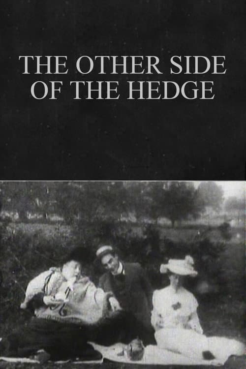 Poster for The Other Side of the Hedge