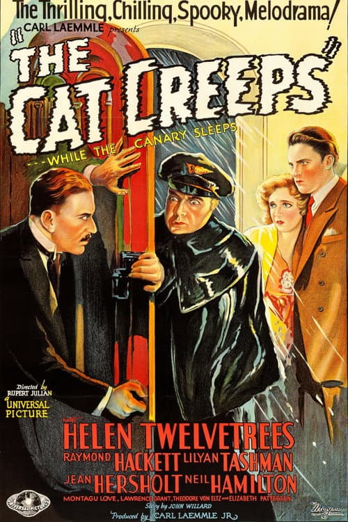 Poster for The Cat Creeps