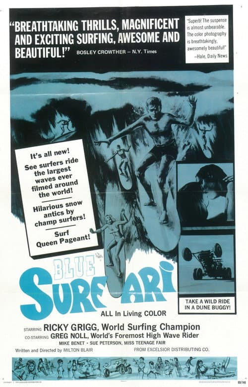 Poster for Surfari