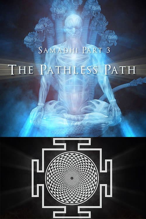 Poster for Samadhi Part 3: The Pathless Path