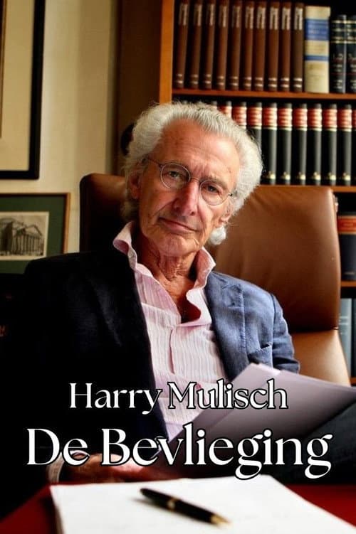 Poster for Harry Mulisch and The Whim