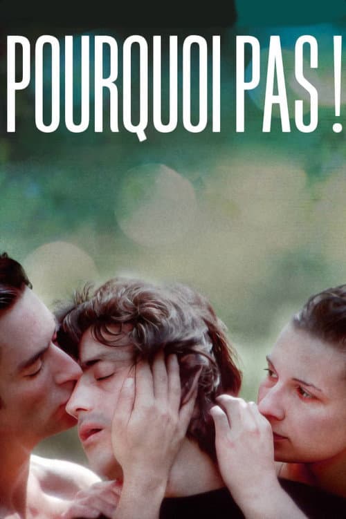 Poster for Why Not!