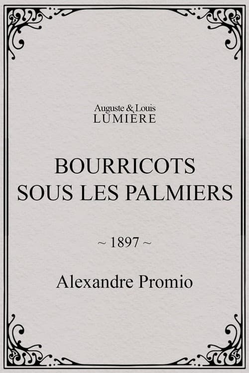 Poster for Bourricots sous les palmiers