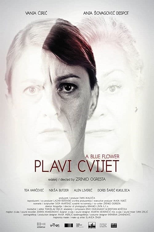 Poster for A Blue Flower