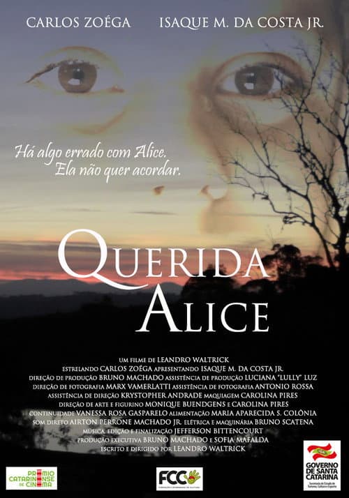 Poster for Querida Alice