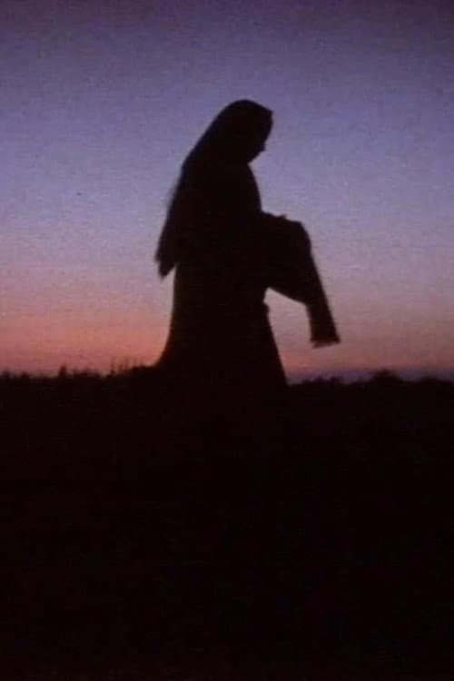 Poster for Women in the Shadows