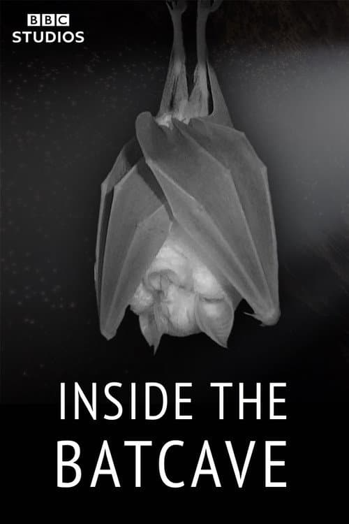 Poster for Inside the Bat Cave