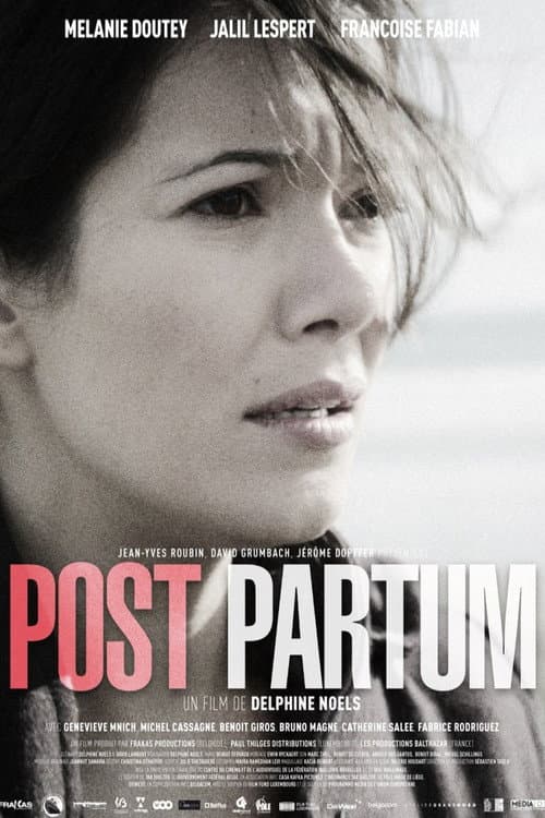 Poster for Post Partum