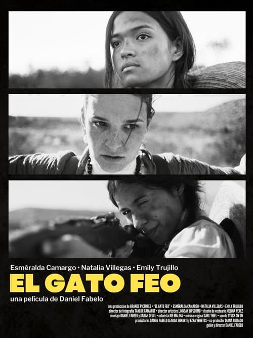 Poster for The Ugly Cat