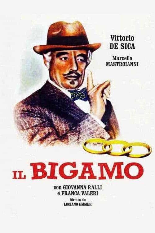 Poster for The Bigamist