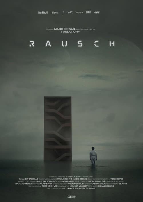 Poster for Rausch